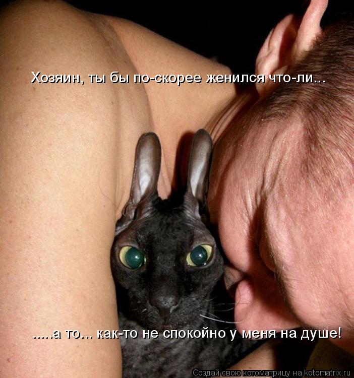 Хозяин, ты бы по-скорее женился что-ли... .....а то... как-то не спокойно у меня на душе!... Котоматрица: Хозяин, ты бы по-скорее женился что-ли... .....а то... как-то не спокойно у меня на душе!
