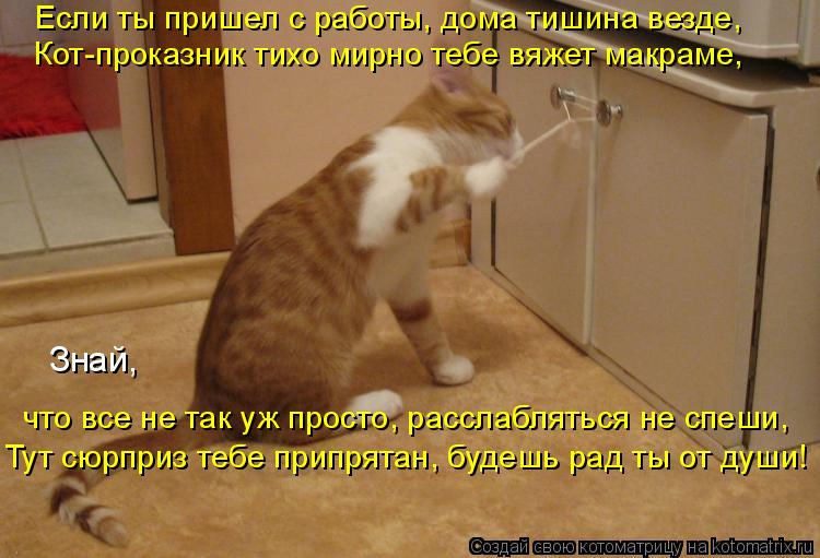 Если ты пришел с работы, дома тишина везде, Знай, что все не так уж просто, расслабляться не спеши, ... Котоматрица: Если ты пришел с работы, дома тишина везде, Знай, что все не так уж просто, расслабляться не спеши, Тут сюрприз тебе припрятан, будешь рад ты