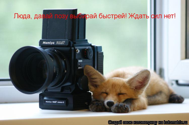 Люда, давай позу выбирай быстрей! Ждать сил нет!... Котоматрица: Люда, давай позу выбирай быстрей! Ждать сил нет!