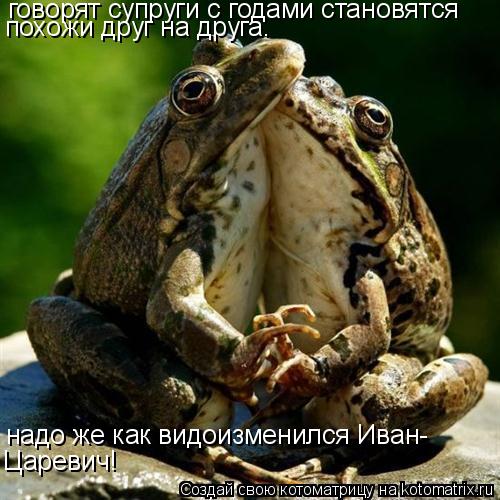 говорят супруги с годами становятся похожи друг на друга. надо же как видоизменился Иван- Царевич!... Котоматрица: говорят супруги с годами становятся похожи друг на друга. надо же как видоизменился Иван- Царевич!