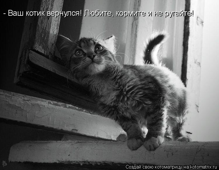 - Ваш котик вернулся! Любите, кормите и не ругайте!... Котоматрица: - Ваш котик вернулся! Любите, кормите и не ругайте!