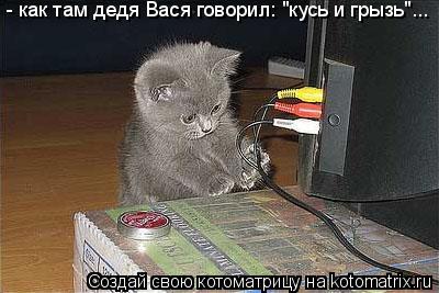- как там дедя Вася говорил: "кусь и грызь"...... Котоматрица: - как там дедя Вася говорил: "кусь и грызь"...