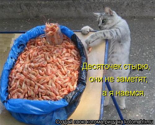 Десяточек стырю, они не заметят, а я наемся.... Котоматрица: Десяточек стырю, они не заметят, а я наемся.