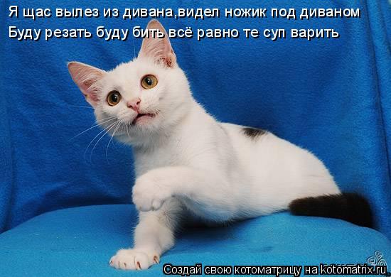 Я щас вылез из дивана,видел ножик под диваном Буду резать буду бить всё равно те суп варить... Котоматрица: Я щас вылез из дивана,видел ножик под диваном Буду резать буду бить всё равно те суп варить