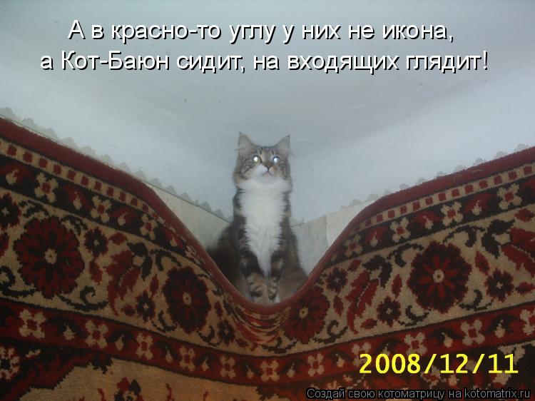 А в красно-то углу у них не икона, а Кот-Баюн сидит, на входящих глядит!... Котоматрица: А в красно-то углу у них не икона, а Кот-Баюн сидит, на входящих глядит!