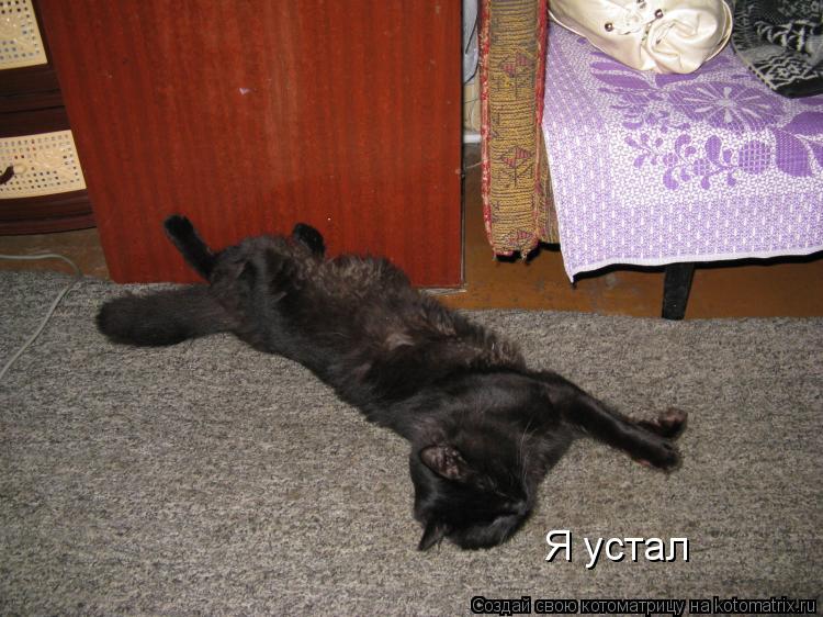 Я устал... Котоматрица: Я устал
