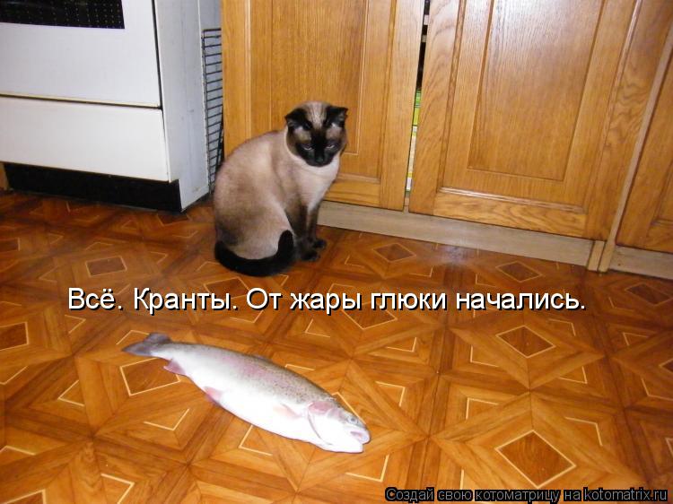 Всё. Кранты. От жары глюки начались.... Котоматрица: Всё. Кранты. От жары глюки начались.