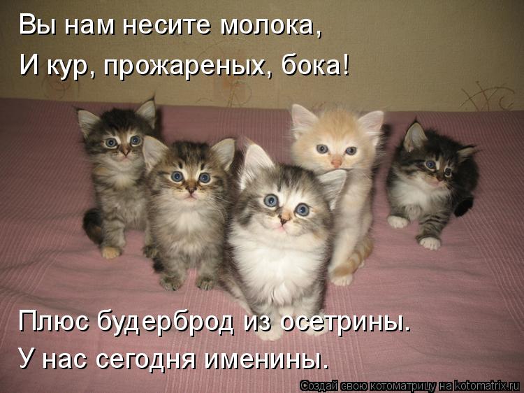 Вы нам несите молока, И кур, прожареных, бока! Плюс будерброд из осетрины. У нас сегодня именин... Котоматрица: Вы нам несите молока, И кур, прожареных, бока! Плюс будерброд из осетрины. У нас сегодня именины.
