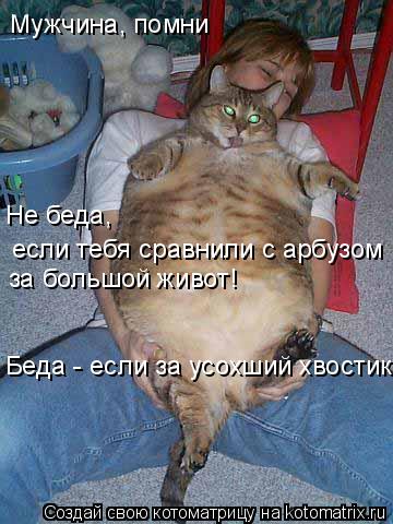 если тебя сравнили с арбузом Мужчина, помни Не беда, за большой живот! Беда - если за усохший хвости... Котоматрица: если тебя сравнили с арбузом Мужчина, помни Не беда, за большой живот! Беда - если за усохший хвостик!