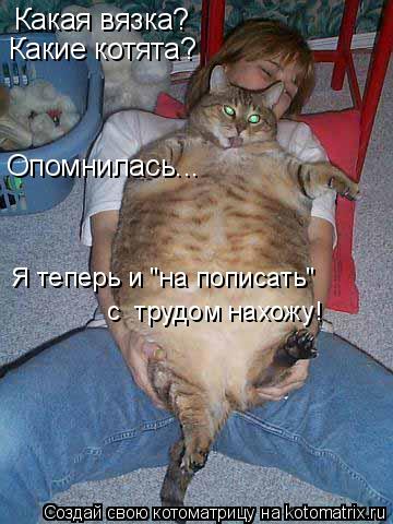 Какая вязка? Какие котята? Опомнилась... Я теперь и "на пописать" с трудом нахожу!... Котоматрица: Какая вязка? Какие котята? Опомнилась... Я теперь и "на пописать" с трудом нахожу!