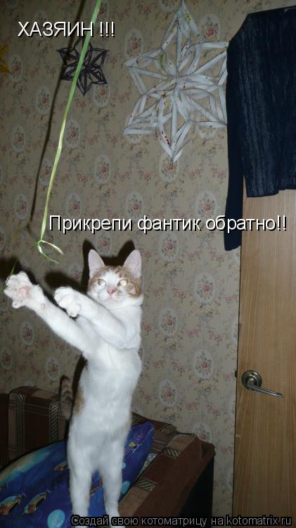 ХАЗЯИН !!! Прикрепи фантик обратно!!... Котоматрица: ХАЗЯИН !!! Прикрепи фантик обратно!!