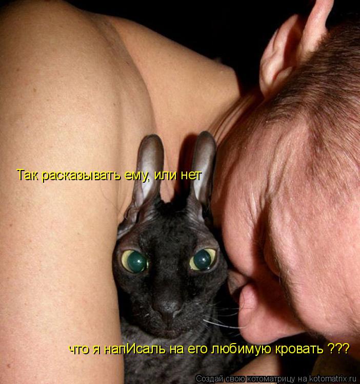 Так расказывать ему, или нет что я напИсаль на его любимую кровать ???... Котоматрица: Так расказывать ему, или нет что я напИсаль на его любимую кровать ???