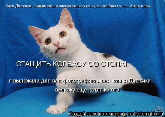Киса Джесика внимательно засмотрелась на кусок колбасы у нее была цель СТАЩИТЬ КОЛБАСУ СО СТОЛА! я в... Котоматрица: Киса Джесика внимательно засмотрелась на кусок колбасы у нее была цель СТАЩИТЬ КОЛБАСУ СО СТОЛА! я выложила для вас фотографию моей кошки