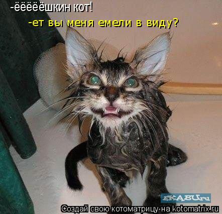 -ёёёёёшкин кот! -ет вы меня емели в виду?... Котоматрица: -ёёёёёшкин кот! -ет вы меня емели в виду?