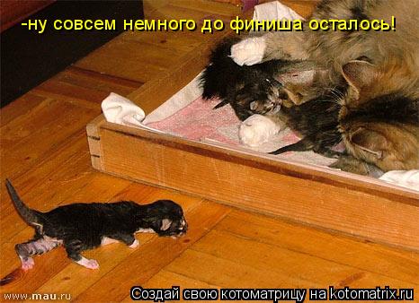 -ну совсем немного до финиша осталось! -ну совсем немного до финиша осталось!... Котоматрица: -ну совсем немного до финиша осталось! -ну совсем немного до финиша осталось!