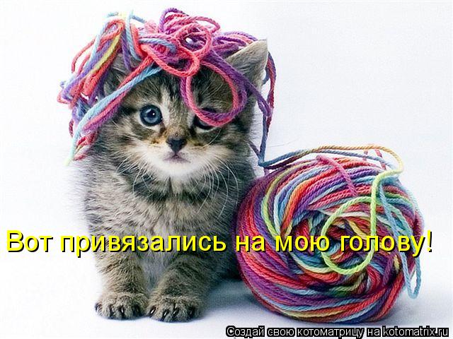 Вот привязались на мою голову!... Котоматрица: Вот привязались на мою голову!