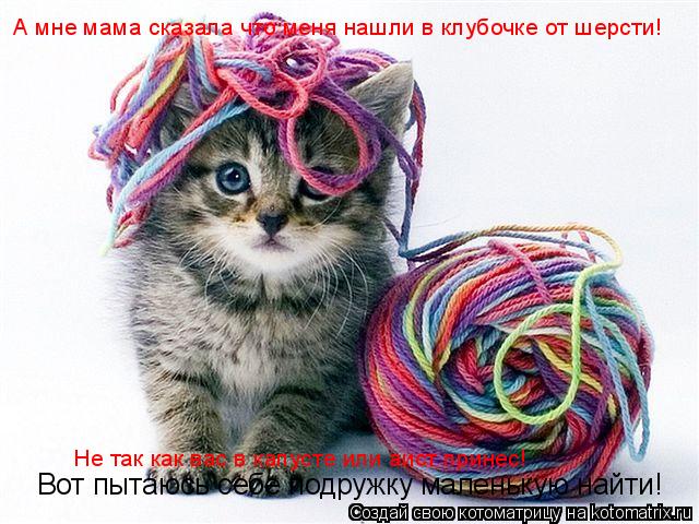 А мне мама сказала что меня нашли в клубочке от шерсти! Не так как вас в капусте или аист принес! Вот... Котоматрица: А мне мама сказала что меня нашли в клубочке от шерсти! Не так как вас в капусте или аист принес! Вот пытаюсь себе подружку маленькую найти!