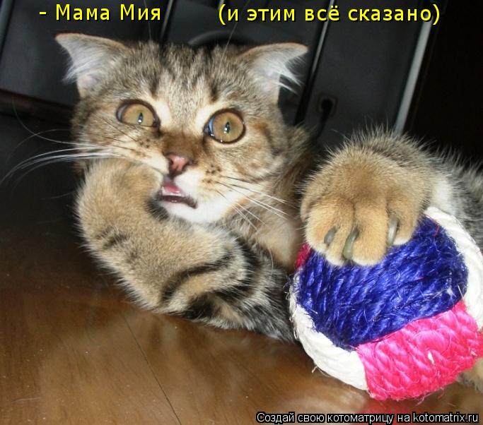 - Мама Мия (и этим всё сказано)... Котоматрица: - Мама Мия (и этим всё сказано)