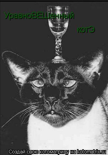 УравноВЕШенный котЭ... Котоматрица: УравноВЕШенный котЭ