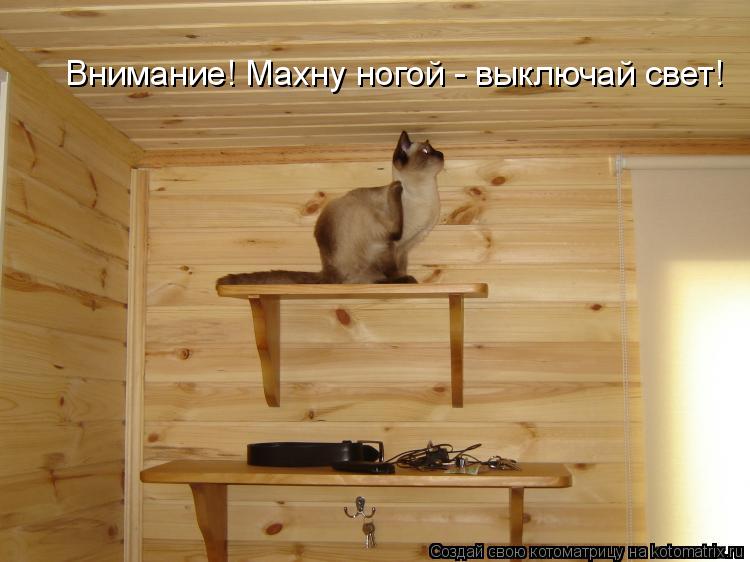 Внимание! Махну ногой - выключай свет!... Котоматрица: Внимание! Махну ногой - выключай свет!