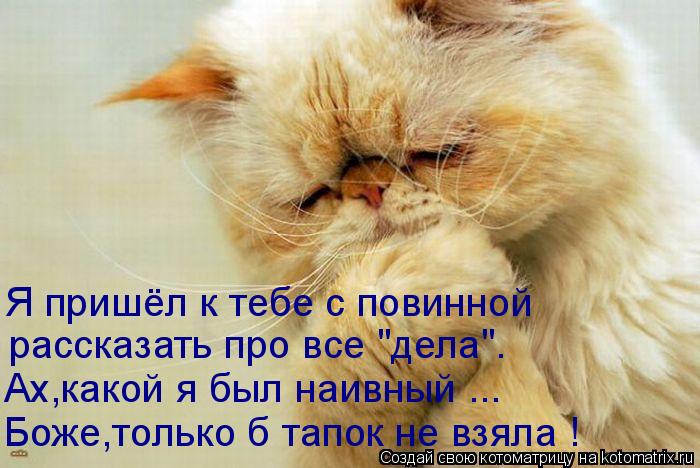 Котоматрица: Я пришёл к тебе с повинной рассказать про все "дела". Ах,какой я был наивный ... Боже,только б тапок не взяла !