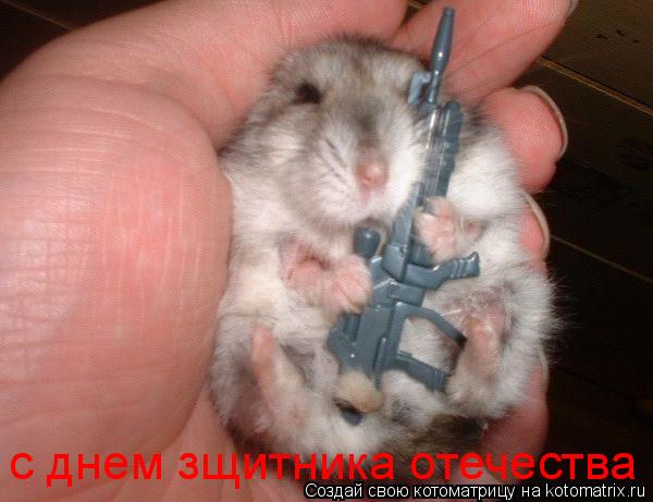 с днем зщитника отечества... Котоматрица: с днем зщитника отечества