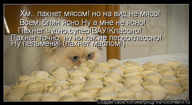 Хм.. пахнет мясом! но на вид не мясо! Всем, блин ясно.Ну а мне не ясно! Пахнет чудно,супер!ВАУ!Класс... Котоматрица: Хм.. пахнет мясом! но на вид не мясо! Всем, блин ясно.Ну а мне не ясно! Пахнет чудно,супер!ВАУ!Классно! Пахнет точно, ну ни как не первоклассно!