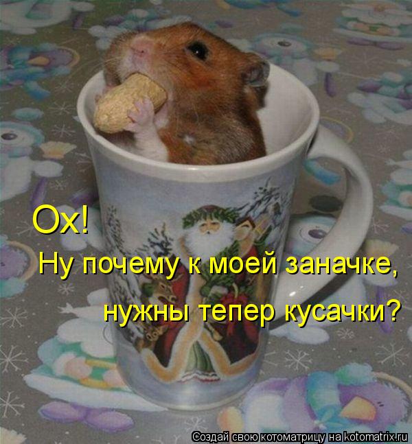 Котоматрица: Ох!  Ну почему к моей заначке, нужны тепер кусачки?