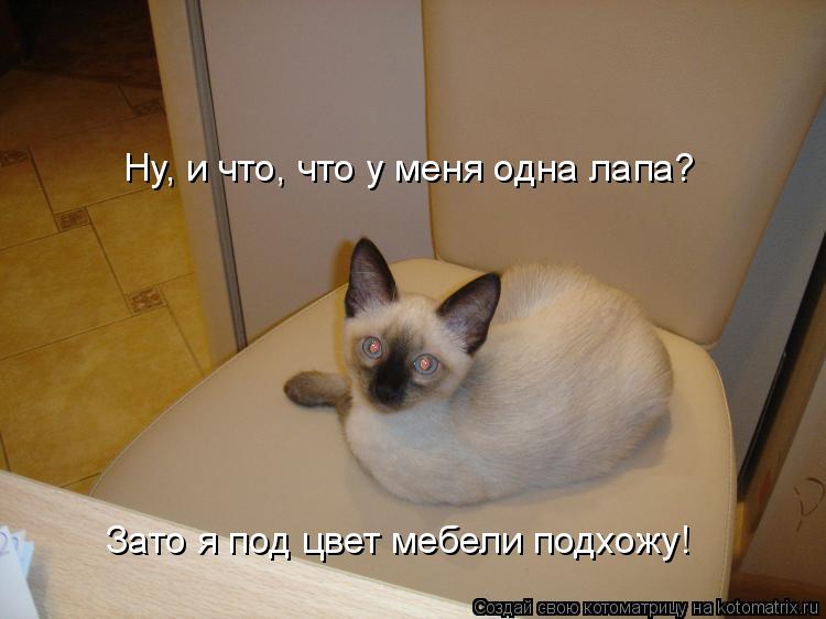 Котоматрица: Ну, и что, что у меня одна лапа? Зато я под цвет мебели подхожу!