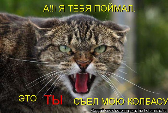 А!!! Я ТЕБЯ ПОЙМАЛ. ЭТО СЪЕЛ МОЮ КОЛБАСУ ТЫ... Котоматрица: А!!! Я ТЕБЯ ПОЙМАЛ. ЭТО СЪЕЛ МОЮ КОЛБАСУ ТЫ