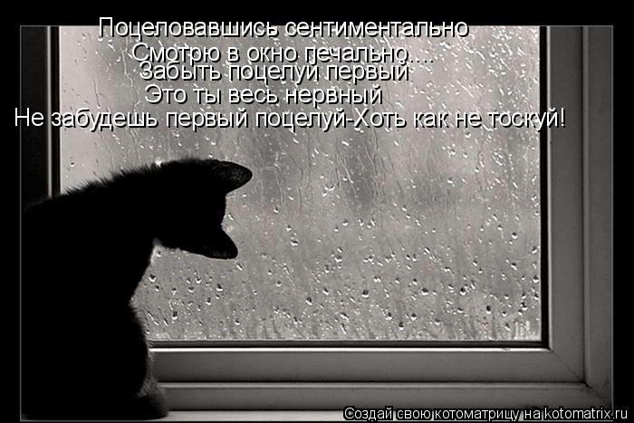 Поцеловавшись сентиментально Смотрю в окно печально.... Забыть поцелуй первый Это ты весь нервный Не ... Котоматрица: Поцеловавшись сентиментально Смотрю в окно печально.... Забыть поцелуй первый Это ты весь нервный Не забудешь первый поцелуй-Хоть как не то