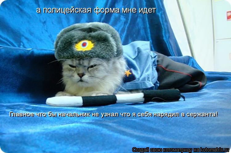 а полицейская форма мне идет Главное что бы начальник не узнал что я себя нарядил в сержанта!... Котоматрица: а полицейская форма мне идет Главное что бы начальник не узнал что я себя нарядил в сержанта!