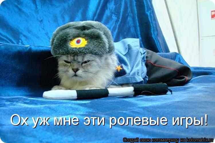Ох уж мне эти ролевые игры!... Котоматрица: Ох уж мне эти ролевые игры!