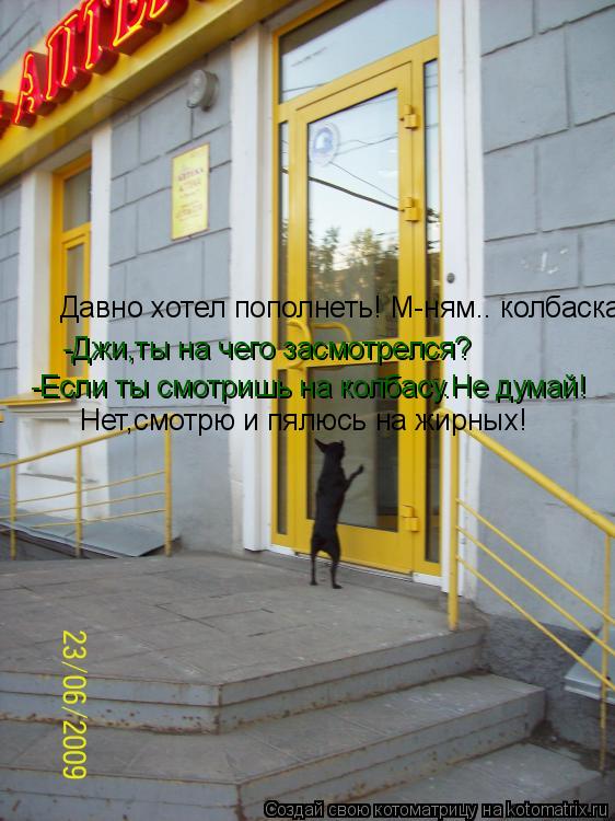 Давно хотел пополнеть1 Давно хотел пополнеть! М-ням.. колбаска -Джи,ты на чего засмотрелся? -Если ты ... Котоматрица: Давно хотел пополнеть1 Давно хотел пополнеть! М-ням.. колбаска -Джи,ты на чего засмотрелся? -Если ты смотришь на колбасу.Не думай! Нет,смотрю
