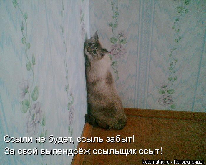Ссыли не будет, ссыль забыт! За свой выпендрёж ссыльщик ссыт!... Котоматрица: Ссыли не будет, ссыль забыт! За свой выпендрёж ссыльщик ссыт!