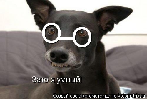 Котоматрица: О О _ Зато я умный!