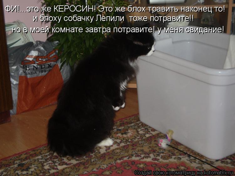Котоматрица: ФИ!...это же КЕРОСИН! Это же блох травить наконец то! и блоху собачку Лепили  тоже потравите!! но в моей комнате завтра потравите! у меня свидан