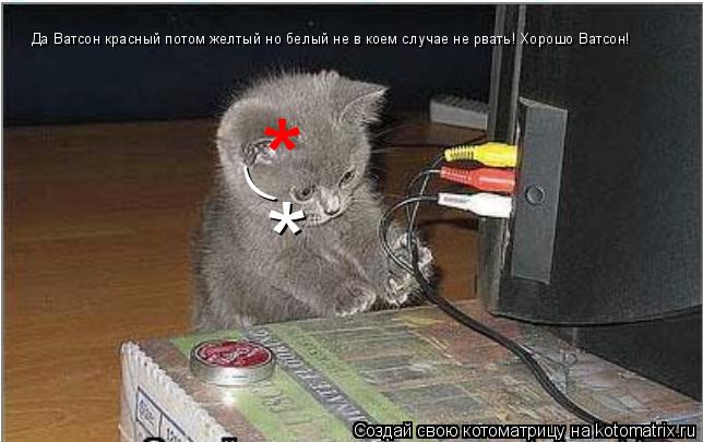 Котоматрица: Да Ватсон красный потом желтый но белый не в коем случае не рвать! Хорошо Ватсон! ( * *