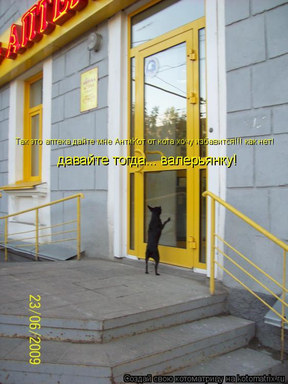 Котоматрица: Так это аптека дайте мне АнтиКот от кота хочу избавится!!! как нет!  давайте тогда... валерьянку!