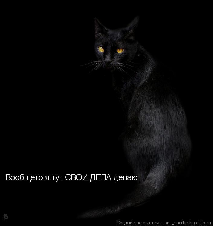 Котоматрица: Вообщето я тут СВОИ ДЕЛА делаю
