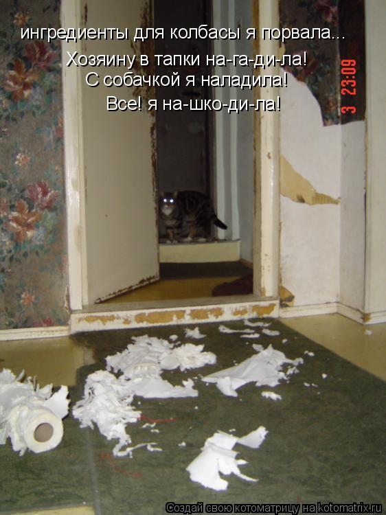 Котоматрица: ингредиенты для колбасы я порвала... Хозяину в тапки на-га-ди-ла! С собачкой я наладила! Все! я на-шко-ди-ла!