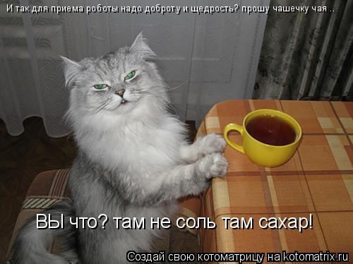 Котоматрица: И так для приема роботы надо доброту и щедрость? прошу чашечку чая .. ВЫ что? там не соль там сахар!