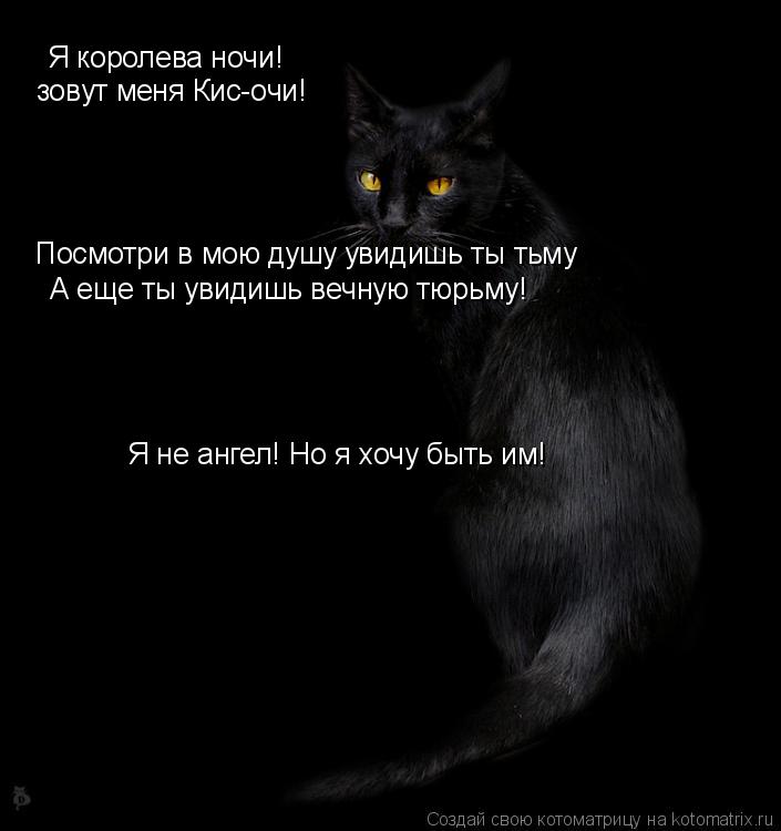 Котоматрица: Я королева ночи!  зовут меня Кис-очи! Посмотри в мою душу увидишь ты тьму А еще ты увидишь вечную тюрьму! Я не ангел! Но я хочу быть им!