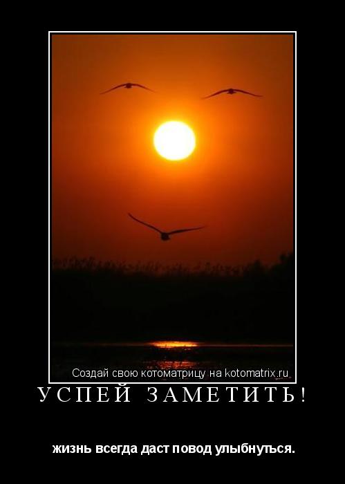 УСПЕЙ ЗАМЕТИТЬ! жизнь всегда даст повод улыбнуться.... Котоматрица: УСПЕЙ ЗАМЕТИТЬ! жизнь всегда даст повод улыбнуться.