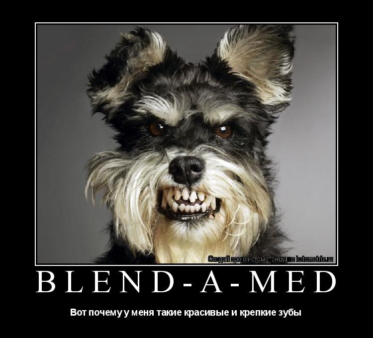 Blend-A-Med Вот почему у меня такие красивые и крепкие зубы... Котоматрица: Blend-A-Med Вот почему у меня такие красивые и крепкие зубы