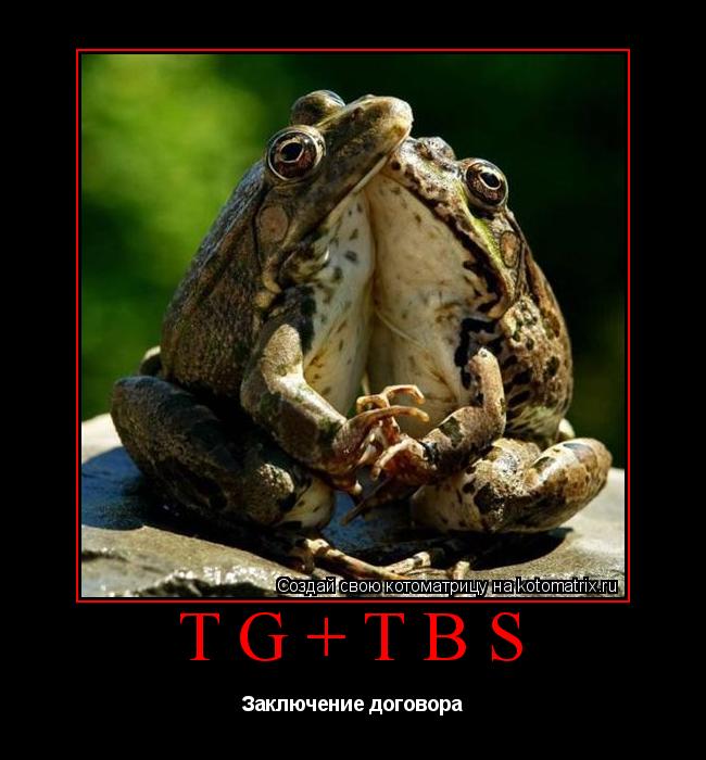 TG+TBS Заключение договора... Котоматрица: TG+TBS Заключение договора