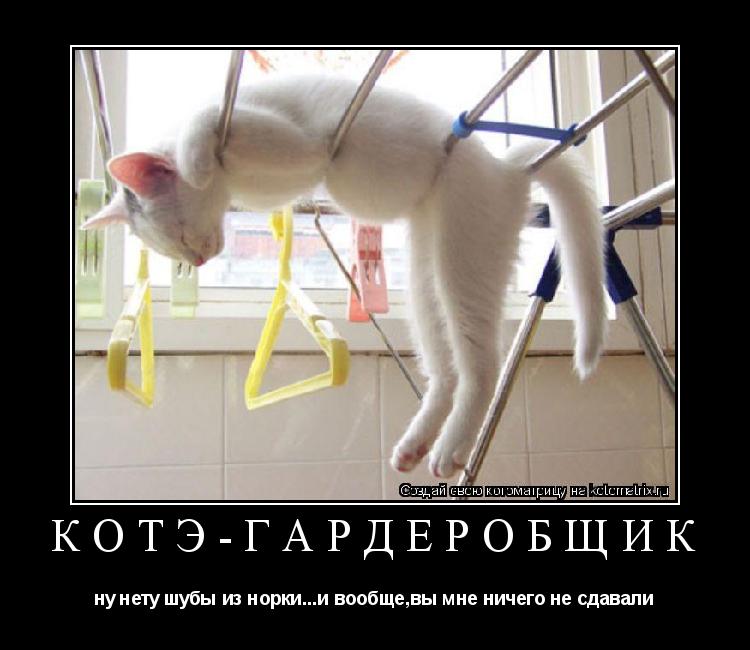 КОТЭ-ГАРДЕРОБЩИК ну нету шубы из норки...и вообще,вы мне ничего не сдавали... Котоматрица: КОТЭ-ГАРДЕРОБЩИК ну нету шубы из норки...и вообще,вы мне ничего не сдавали