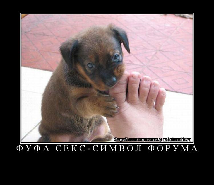 Фуфа секс-символ Форума ... Котоматрица: Фуфа секс-символ Форума