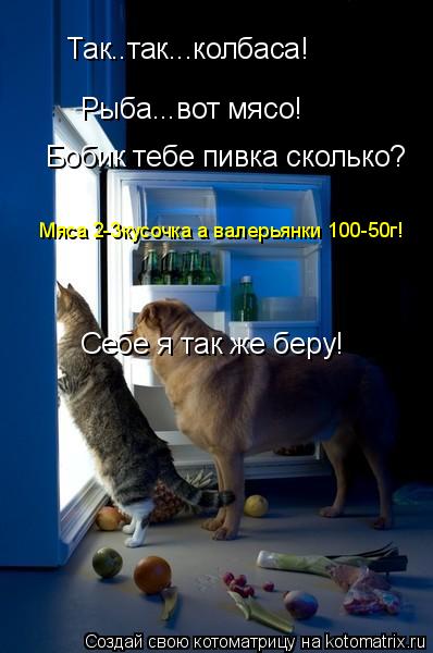 Котоматрица: Так..так...колбаса! Рыба...вот мясо! Бобик тебе пивка сколько? Мяса 2-3кусочка а валерьянки 100-50г! Себе я так же беру!