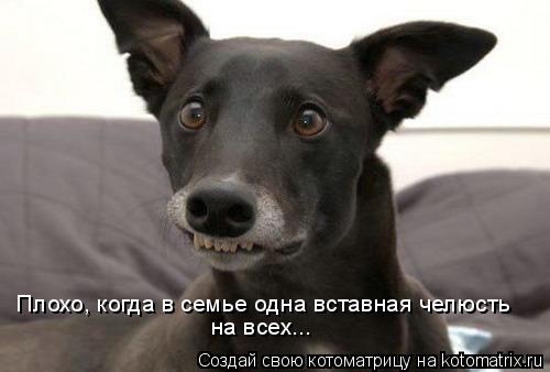 Котоматрица: Плохо, когда в семье одна вставная челюсть  на всех...